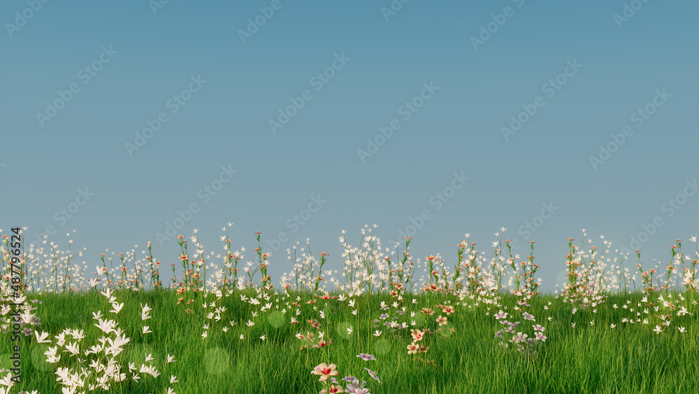 Spring Meadow with Long Grass, Wild Flowers and clear blue sky. Natural ...