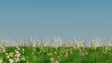 Spring Meadow With Long Grass, Wild Flowers And Clear Blue Sky. Natural Wallpaper With Space For Text.