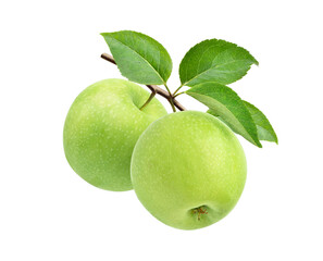 Wall Mural - two green apples on branch isolated on white background.