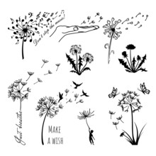Black Dandelion Silhouettes. Floral Set Of Blowball Clipart. Wildflower Tattoo Bundle. Summer Season Flower. Isolated Sketches