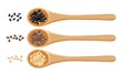 vector sesame seeds in wooden spoons