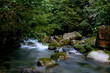 Paisaje de río y selva en el Parque Nacional Natural Selva de Florencia. 