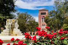 Sunny View Of The Campus Of The University Of Southern California