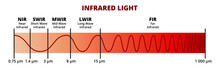 Vector Scientific Illustration Of Infrared Light IR. Regions Within The Infrared – Near-infrared, Short-wave, Mid-wave, Long-wave, Far-infrared. NIR, SWIR, MWIR, LWIR, FIR. Electromagnetic Radiation. 