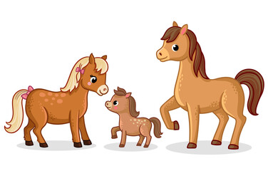 Wall Mural - Family of horses stands. Vector illustration with horses and foal in cartoon style.