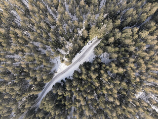 Sticker - A top view of a snowy forest