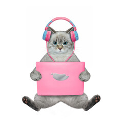 Wall Mural - An ashen cat in earphones sits and works with a pink laptop. White background. Isolated.