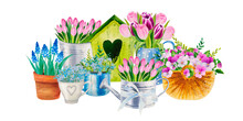 Watercolor Set Of Spring Flower Bouqets In Cup, Jug And Wooden Box, Birdhouse