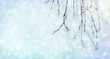 Abstract blue background with frozen branches