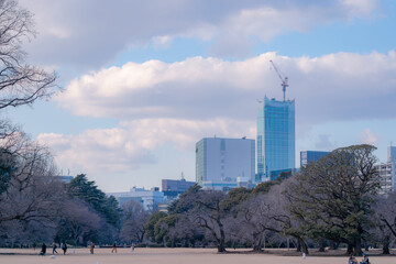 Wall Mural - 東京都新宿区にある大きな公園の景色