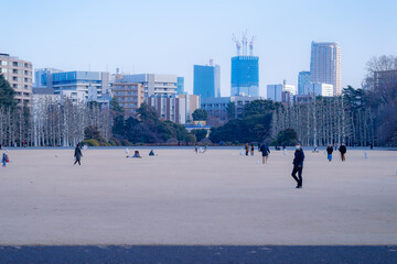 Wall Mural - 東京都新宿区にある大きな公園の景色