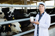 Female quality expert is standing in uniform at the cow farm.