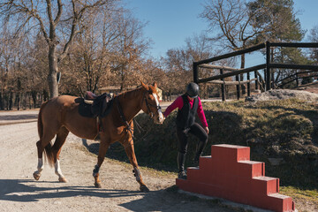 Sticker - Female walking with a horse in a field