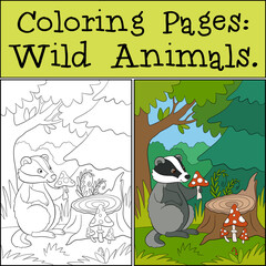 Wall Mural - Coloring Pages: Wild Animals. Little cute badger sits and holds an amanita in the hands.