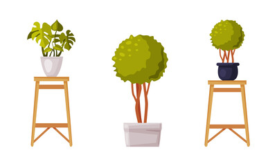 Sticker - Houseplants on wooden stand for interior decoration set vector illustration