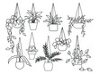 Set of plants in pots. Collection of growing flowers in a hanging plant for interior home or office decoration. Set of succulent plants and home plants. Vector illustration of garden flowers.