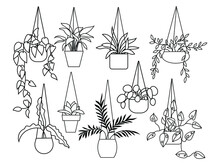 Set Of Plants In Pots. Collection Of Growing Flowers In A Hanging Plant For Interior Home Or Office Decoration. Set Of Succulent Plants And Home Plants. Vector Illustration Of Garden Flowers.