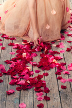 Close Up Of Woman's Hand In Wedding Dress Picking Up Rose Petals On Wooden Floor