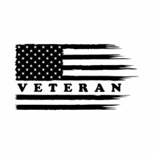 Veteran US Flag Vector Illustration. Military Design Concept For Background, T Shirt, Mug Etc