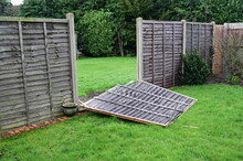 A Blown Down Garden Fence Due To Storm "Eunice" On 18 Feb 2022. 