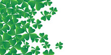Green Clovers Background
