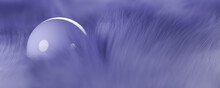 Abstract 3D Background Of Purple Sphere In Purple Fur. Veri Peri Color Of The Year 2022. 3D Rendering