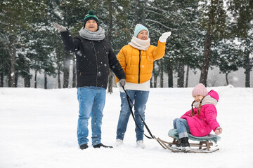 Wall Mural - Little girl with her grandparents sledging on snowy winter day