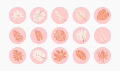 Colorful icons Summer Vacation  Beach Tropical leaves set. Tropical vacation. Jungle foliage. Round summertime sticker, label collections, instagram highlights. Exotic tropical monstera, palm leaves