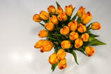 Fototapeta Tulipany - Pomarańczowe tulipany