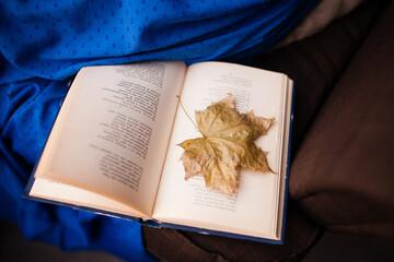 the book and the autumn leaf as a bookmark