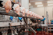 Meat processing plant.People working at a chicken factory - stock photo.Automated production line in modern food factory.