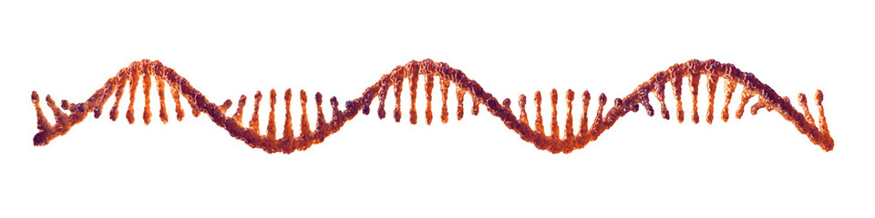 Single strand ribonucleic acid isolated on white. RNA vaccine research concept