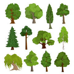 Poster - Tree Isolated Species Set