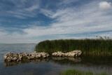 Fototapeta Do pokoju - reeds and white rocks by the lake
