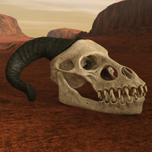 3D Illustration Over White Of An Ancient Skull Of A Fantasy Dragon