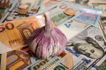 Wall Mural - Garlic - photo on cash bills. Garlic is laying on Euro and dollar bills. Real money under spice vegetable. Commercial result of harvest in agriculture. Real gain. Paper fiat money of USA and Europe.