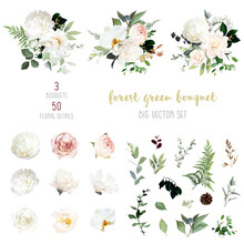 Blush Pink Roses, Hydrangea, Orchid, White Peony Flower Big Vector Design Set