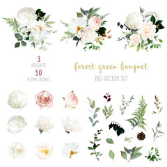 Blush pink roses, hydrangea, orchid, white peony flower big vector design set