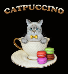 Wall Mural - An ashen cat is inside a coffee cup. There are multi colored cookies in a saucer. Catpuccino. Black background. Isolated.