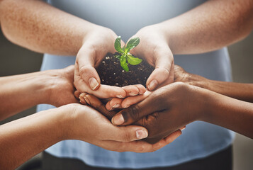 Sticker - Growing a greener business. Shot of a group of hands holding a plant growing out of soil.