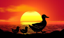 Ducks Birds Silhouette Sunset Beach Sunrise Landscape Illustration