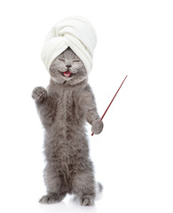 Poster - Happy kitten with towel on it head points away on empty space. isolated on white background