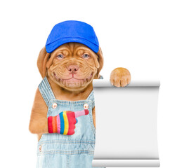 Poster - Puppy wearing blue cap and overalls points on empty list. Isolated on white background
