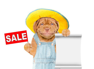 Poster - Puppy wearing  hat and overalls shows empty list and sales symbol. Isolated on white background
