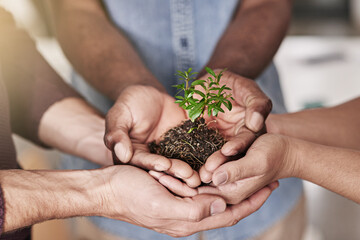 Poster - Committed to making their new business flourish. Cropped shot of a group of people holding a plant growing out of soil.