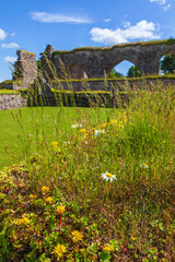 Sticker - Flowering wild flowers at an old ruin