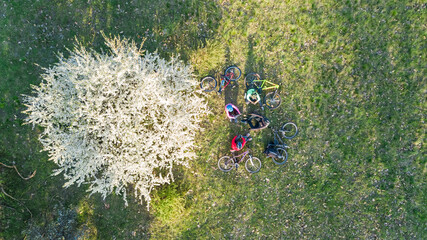 Wall Mural - Spring family cycling on bikes aerial top view from above, happy active parents with children have fun and relax on grass under spring blossoming tree, family sport and fitness on weekend