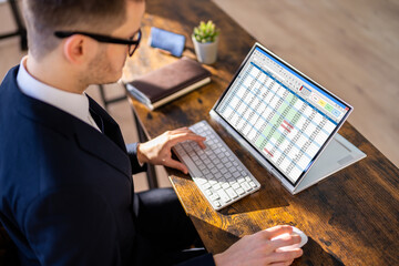 Poster - Electronic Spreadsheet Analyst Or Auditor Using Software