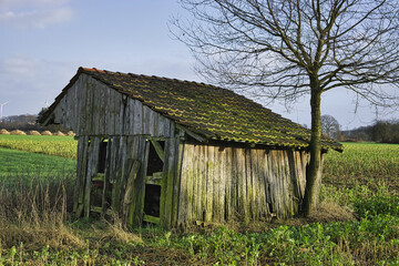 Poster - An abandoned old house in the field