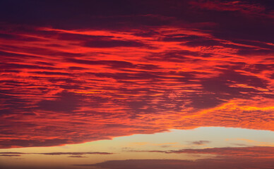 Wall Mural - sky at sunset texture background overlay. dramatic red clouds.
